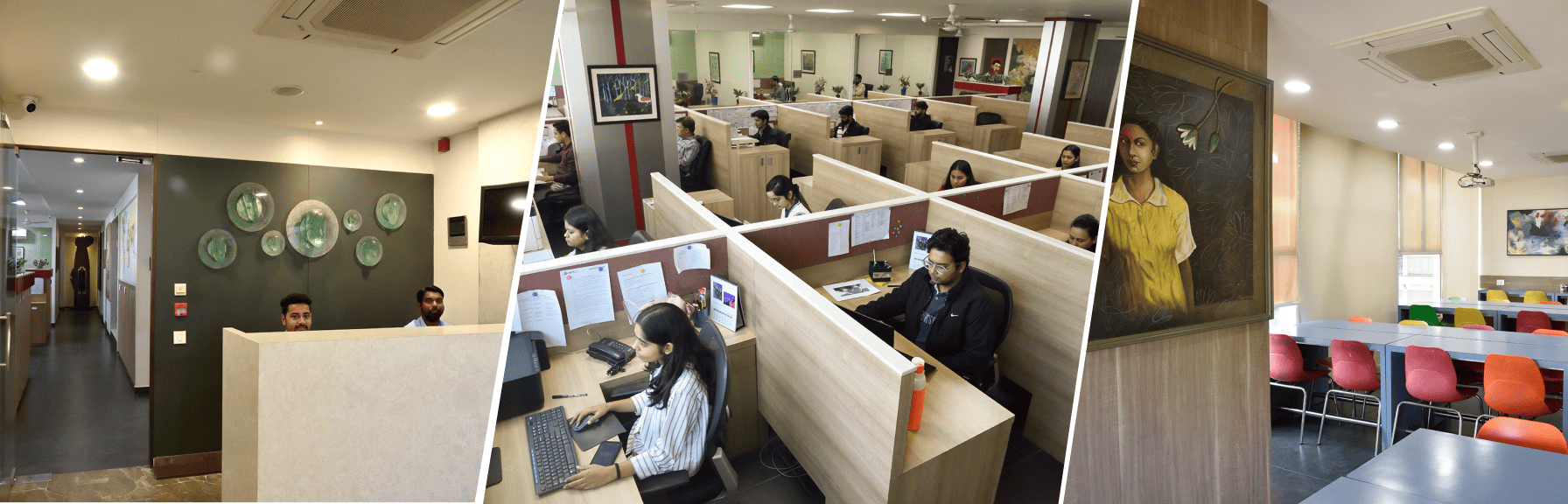 About Rubexco Banner