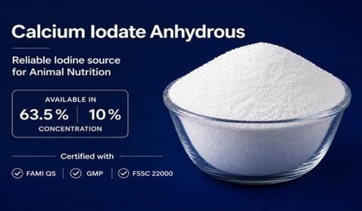 Leading Manufacturer & Exporter of Calcium Iodate Anhydrous